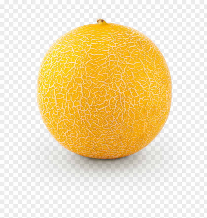 Citron Grapefruit Orange PNG