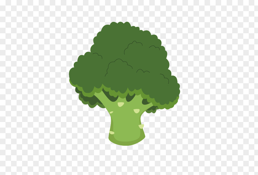 Green Cauliflower Cartoon Images Broccoli Vegetarian Cuisine PNG