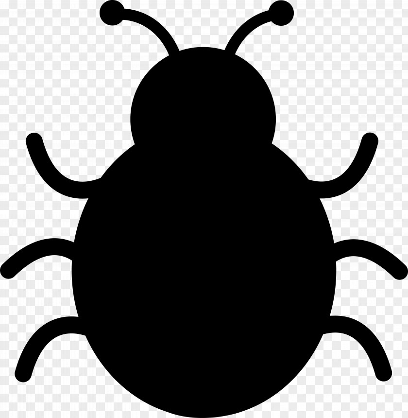 Clip Art Animated Cartoon Image Ladybird Beetle PNG