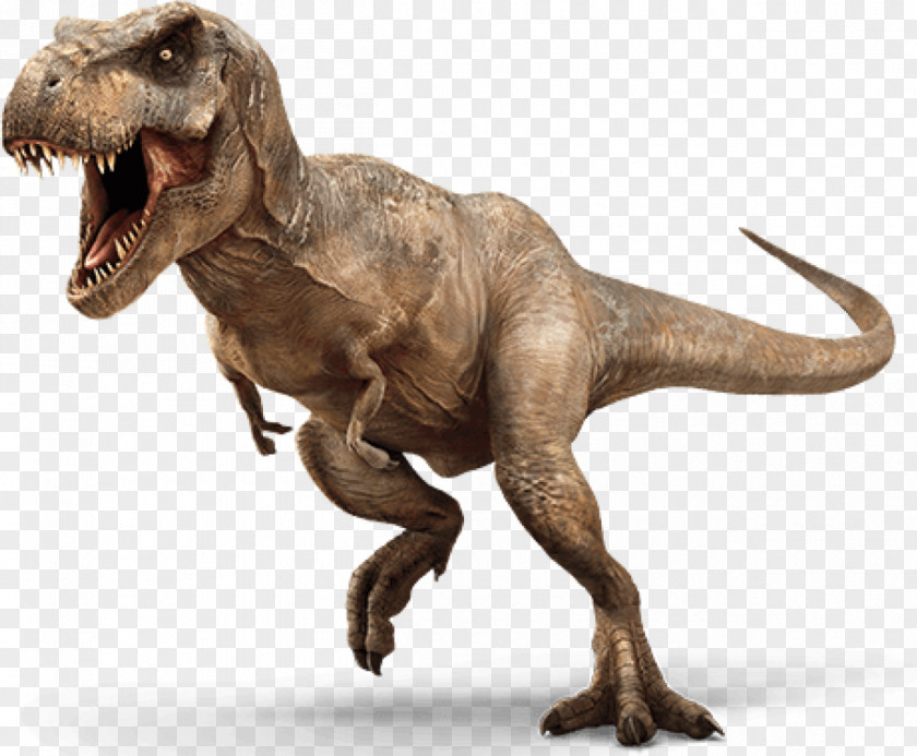 Dinosaur Jurassic World Evolution Park: The Game Tyrannosaurus PNG