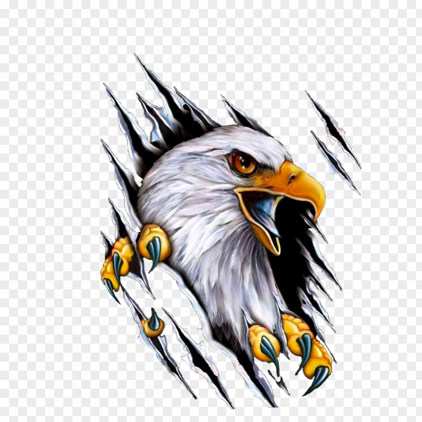 Eagle Car Mile High Harley-Davidson Motorcycle Decal PNG