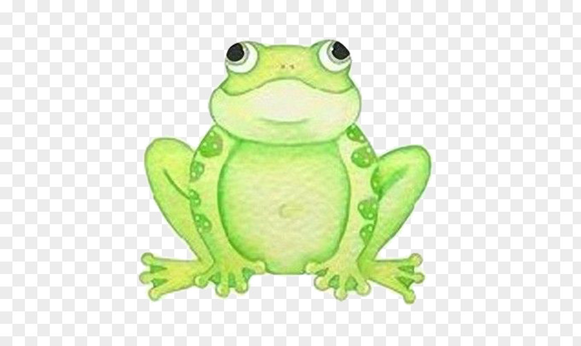Frog Wedding Invitation Baby Shower Clip Art PNG