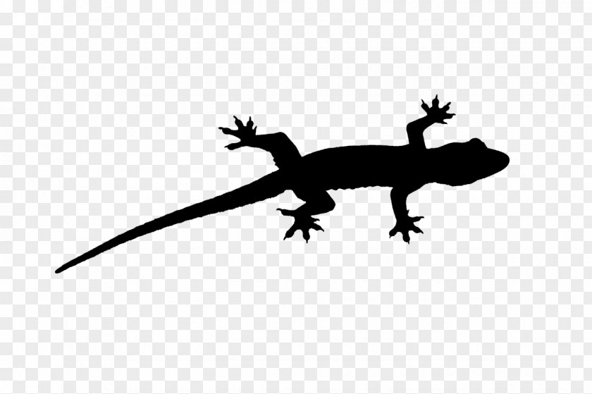 Gecko Lizard Fauna Font Silhouette PNG