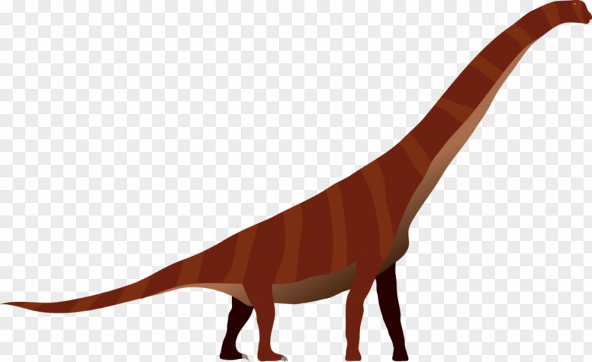 Implication Vector Tyrannosaurus Velociraptor PNG