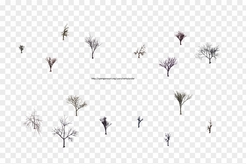 Isometric Tree Twig Grasses White Leaf Font PNG