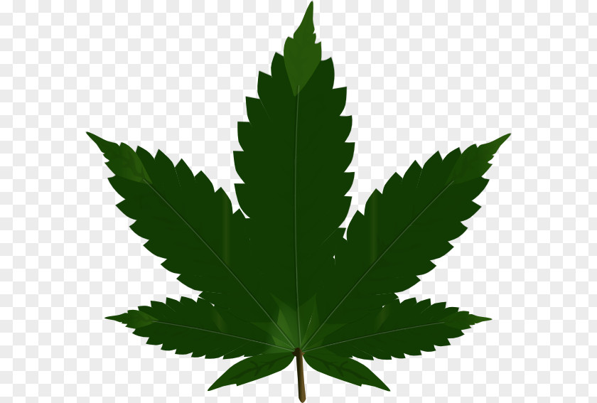 Leaf Svg Hash, Marihuana & Hemp Museum Cannabis Blunt Clip Art PNG
