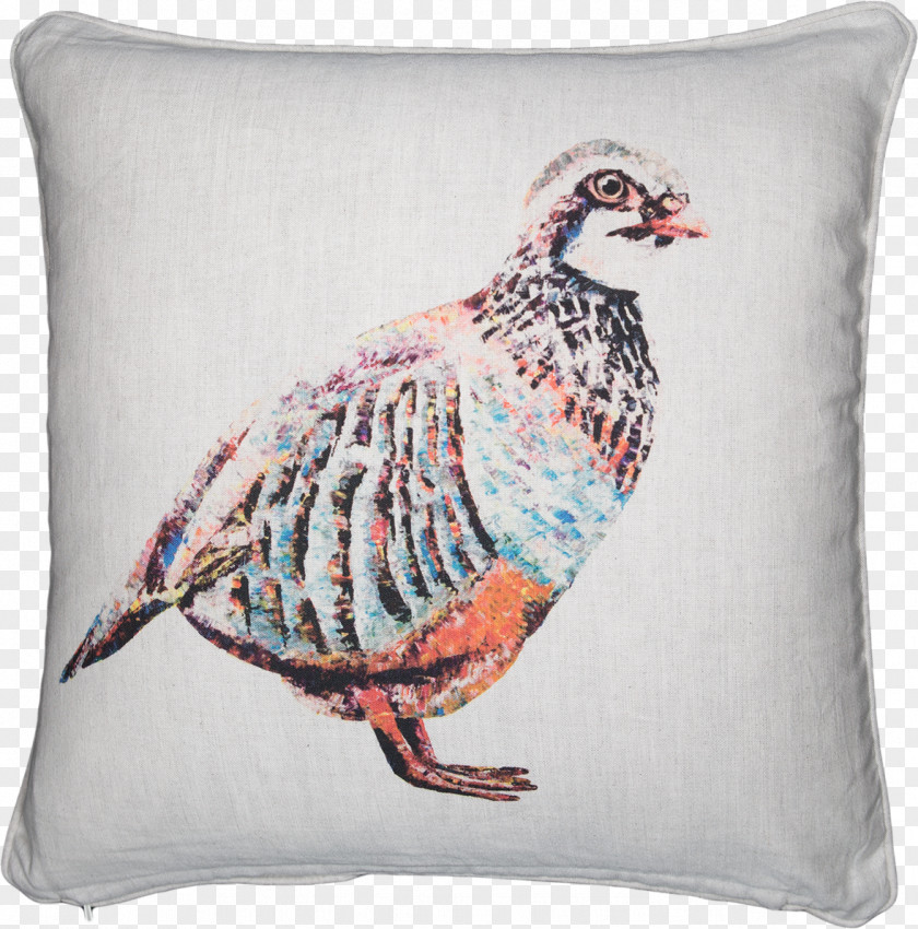 Mug Cushion Bone China Throw Pillows PNG