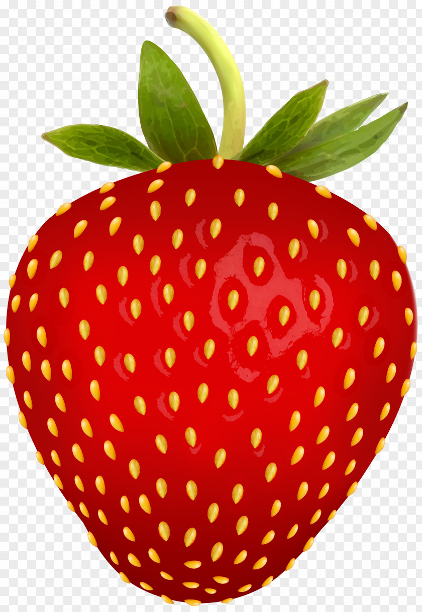 Dragon Fruit Strawberry Pie Shortcake Clip Art PNG