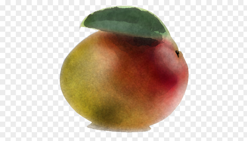 Fruit Apple PNG