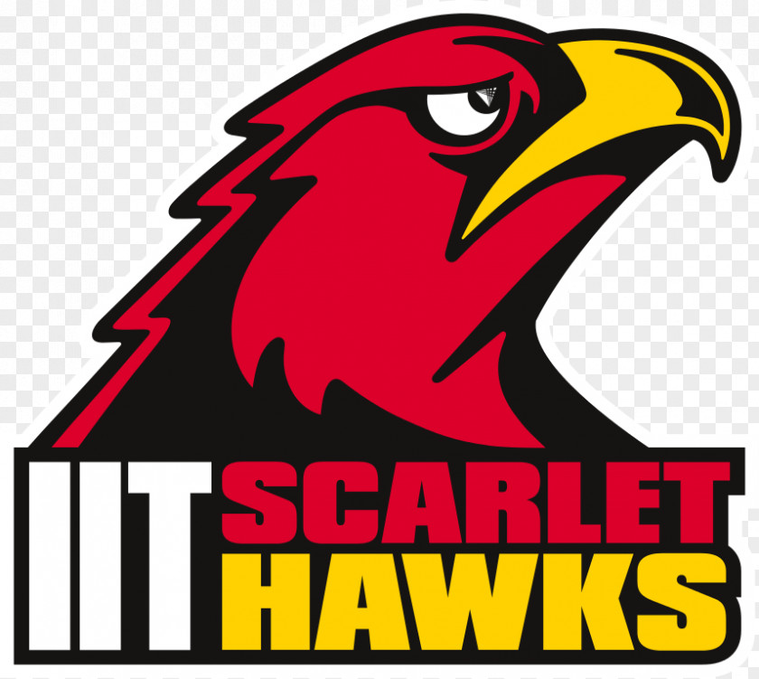 Hawk Illinois Institute Of Technology Chicago-Kent College Law Milwaukee School Engineering Tech Scarlet Hawks Men's Basketball Student PNG