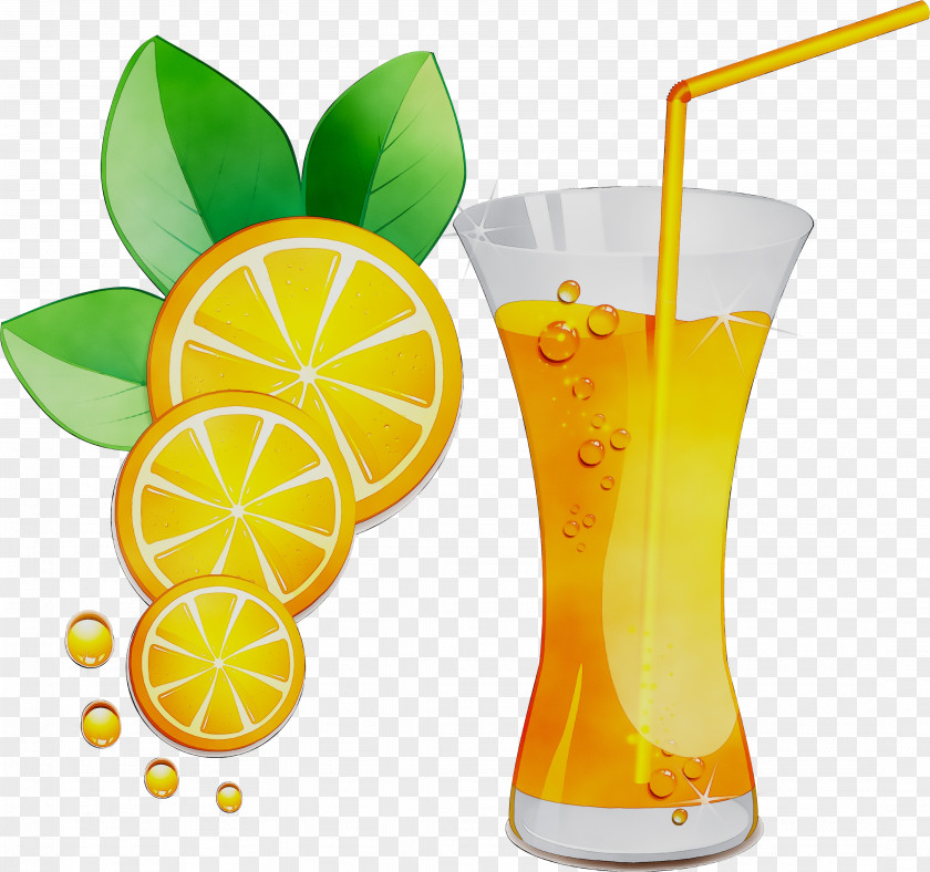 Orange Juice Drink Lemon Cocktail PNG