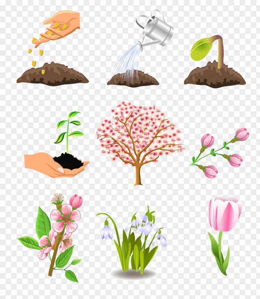 Vector Watering Growth Plant Tree Season Autumn PNG