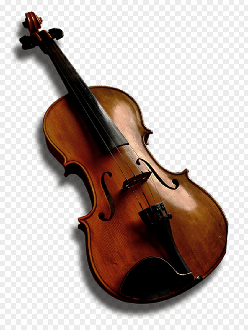 Violin Western Musical Instrument Bass Viola Violone Double PNG