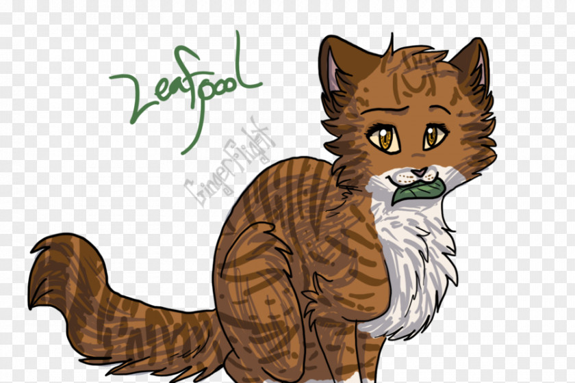 Cat Whiskers Wildcat Tabby Tallstar PNG