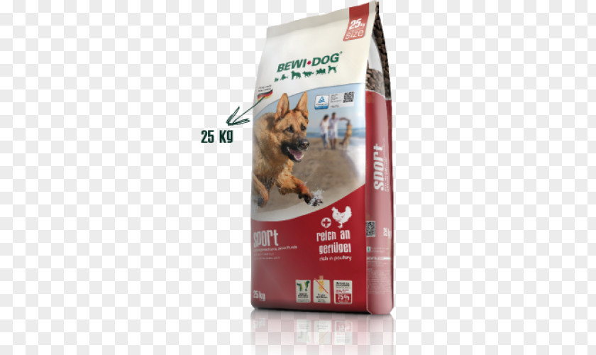 Dog Sport Food Puppy Torrfoder Cat PNG