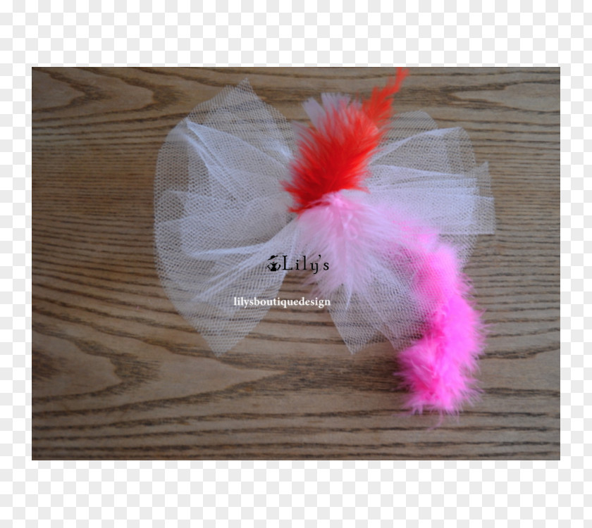 Feather Pink M PNG