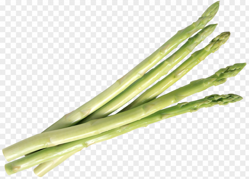 Shoot Vegetable Asparagus Bamboo PNG