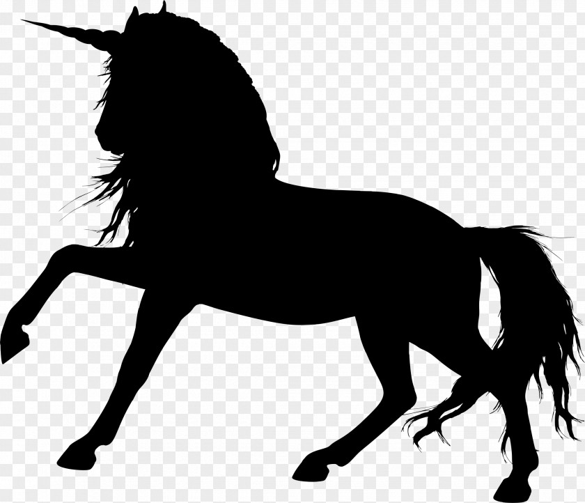 Unicornio Arabian Horse Colt Foal Clip Art PNG