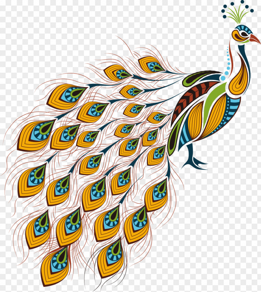 Vector Orange Cartoon Peacock Illustration PNG