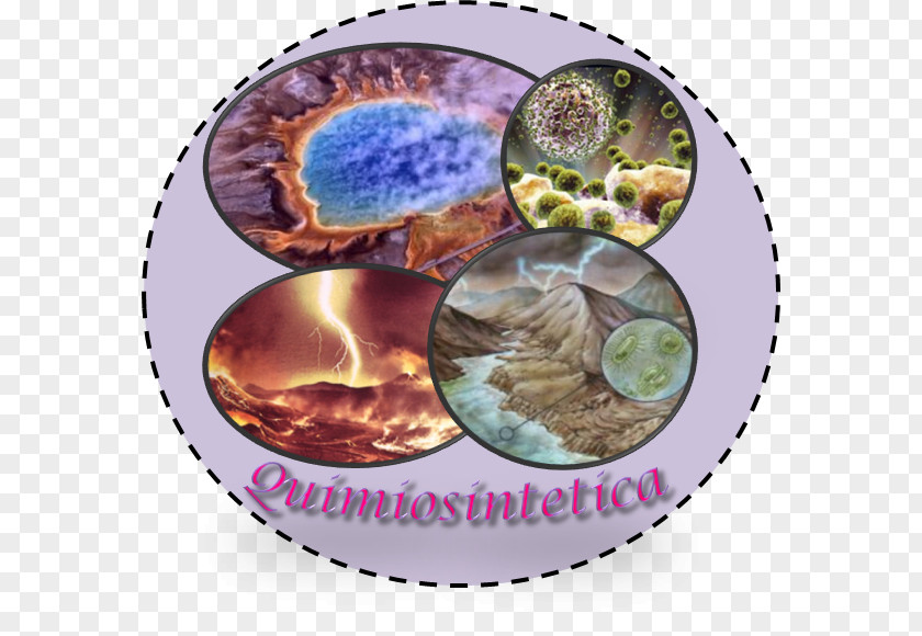 Teoria Kimiosintetiko Organism Abiogenesis Biology Life PNG
