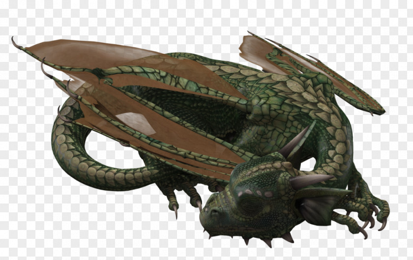 3d Dragon Reptile PNG