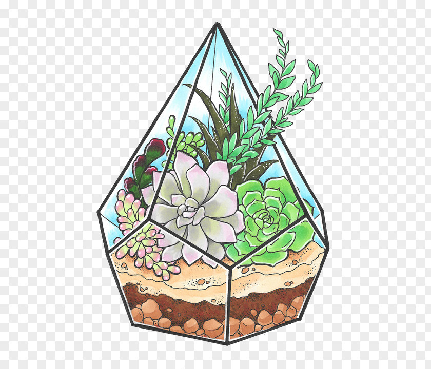 Cartoon Cactus Succulents And Cactaceae Succulent Plant Header PNG