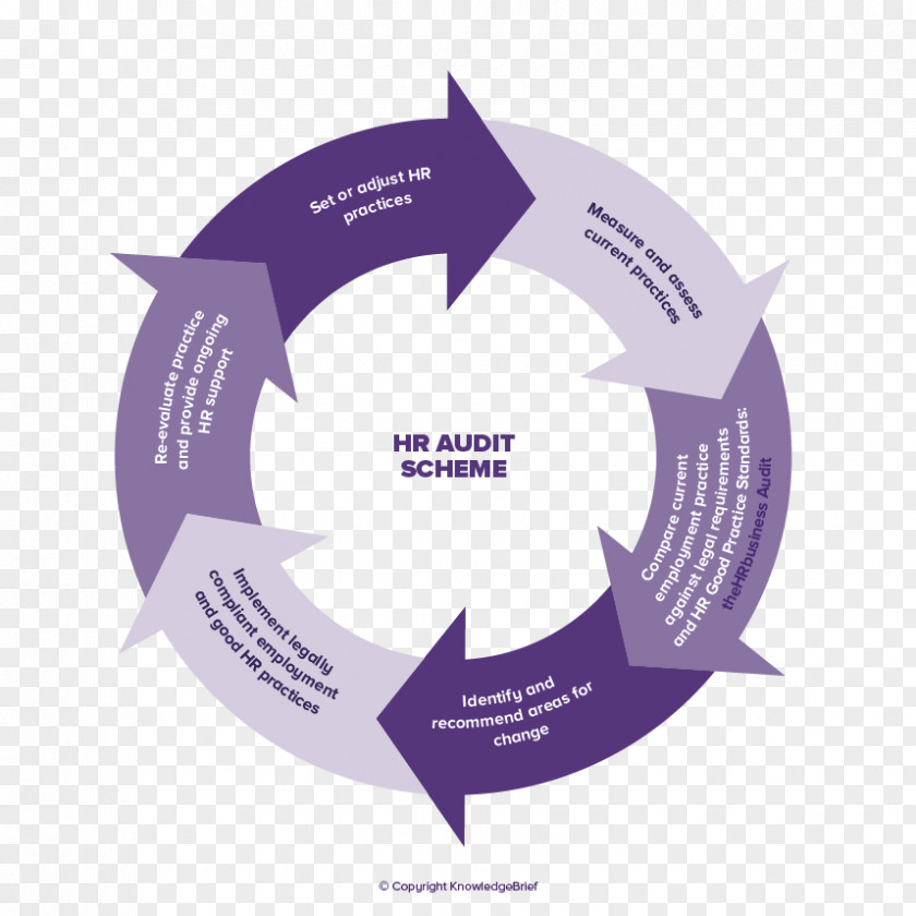 Human Resource Business Process Resources Performance Management PNG