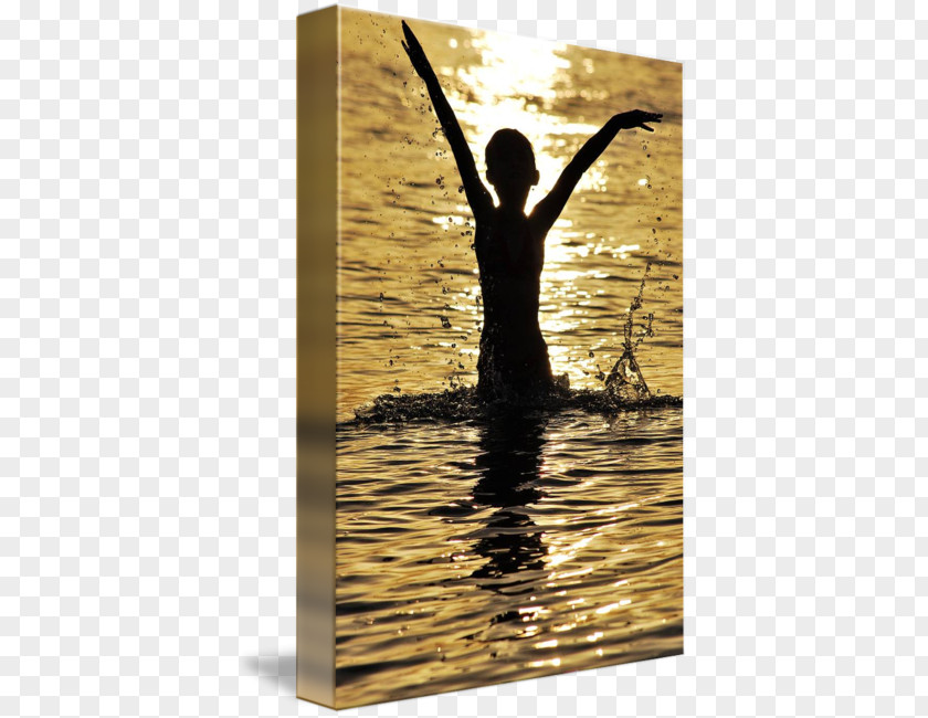 Jump Out Of The Water Stock Photography Alamy PNG