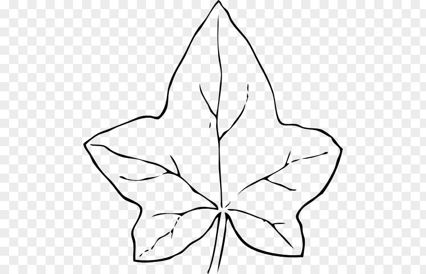 Leaf Ivy Vine Clip Art PNG