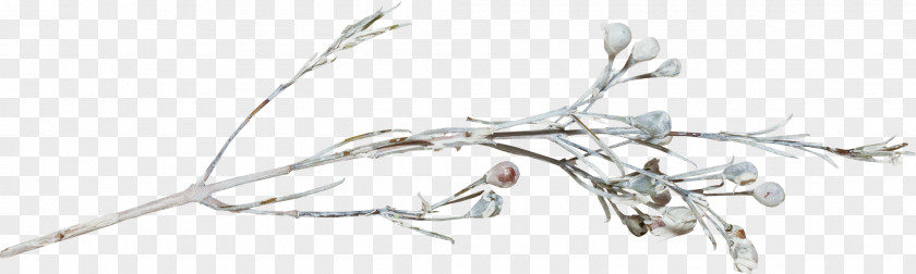 Snow Tree Branch Winter Twig PNG