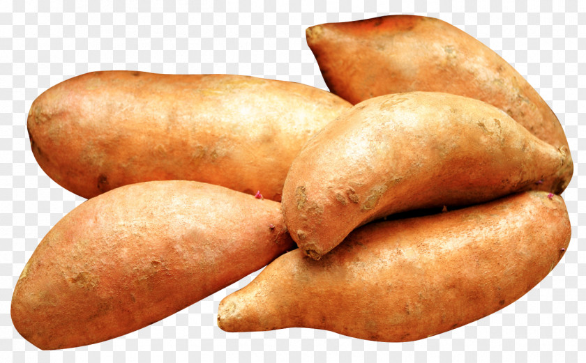 Yams Sweet Potato Yam Dioscorea Mexicana PNG