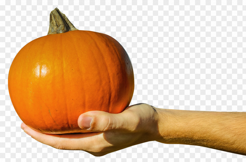 Hand Holding Orange Pumpkin Jack-o-lantern PNG