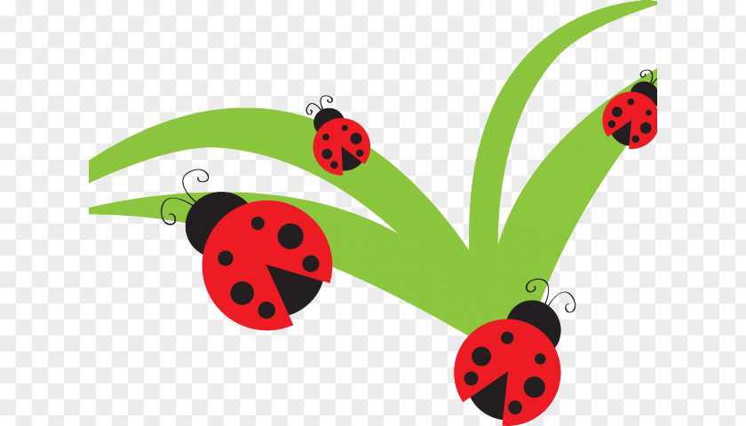 Ladybug Larva Clip Art Free Content Openclipart Ladybird Beetle Illustration PNG