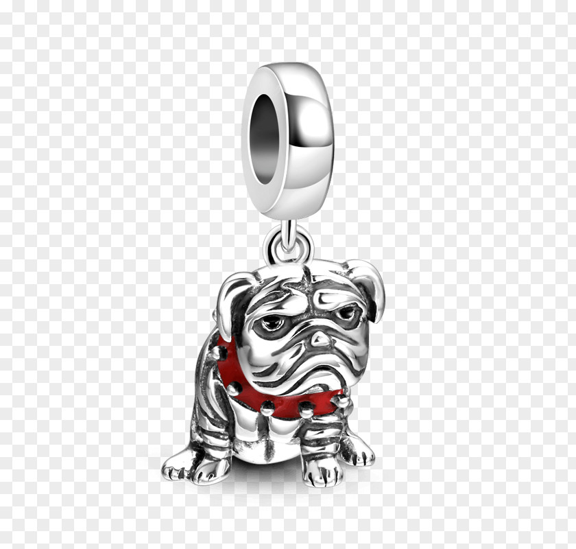 Silver Pug Charms & Pendants Charm Bracelet Shar Pei PNG