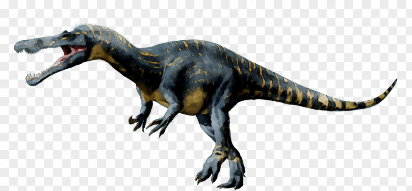 Spinosaurus Tyrannosaurus Suchomimus Baryonyx Jurassic Park PNG