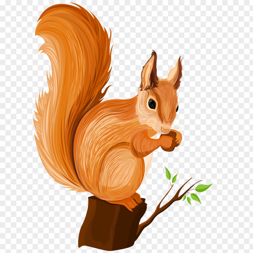Squirrel Chipmunk Cartoon Illustration PNG