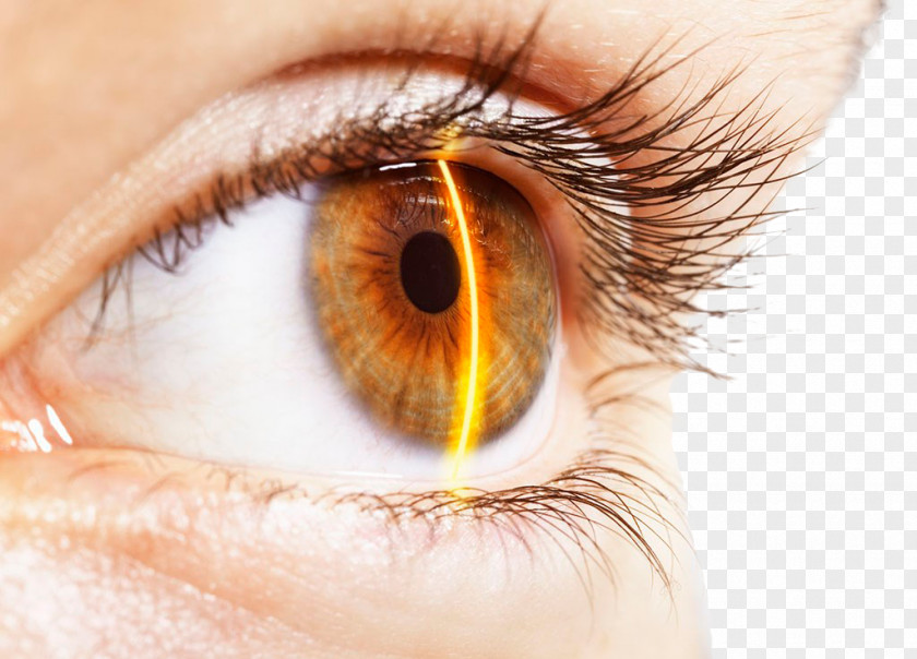 Beauty Eyelashes Eye Iris Recognition Human Body Technology PNG