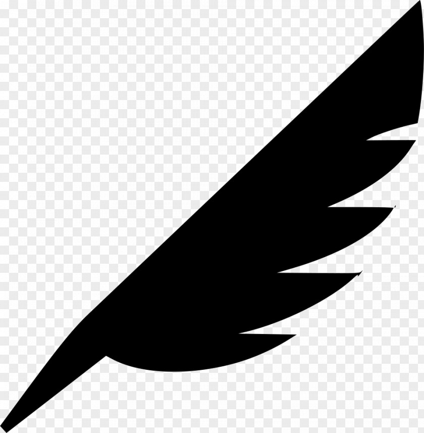 Feather Quill Bird Clip Art PNG