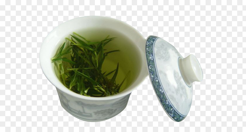 Green Tea Chinese Characteristics Drinking Health PNG