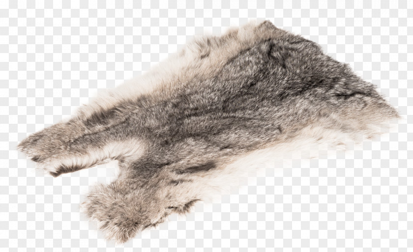 Rabbit Amazon.com Hasenfell Hair Fur Chinchilla PNG