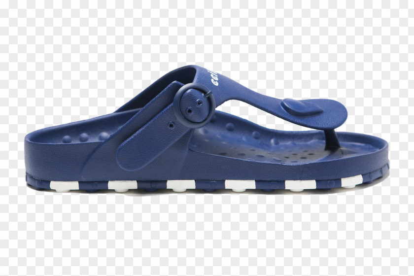Sandal Shoe Consumer PNG