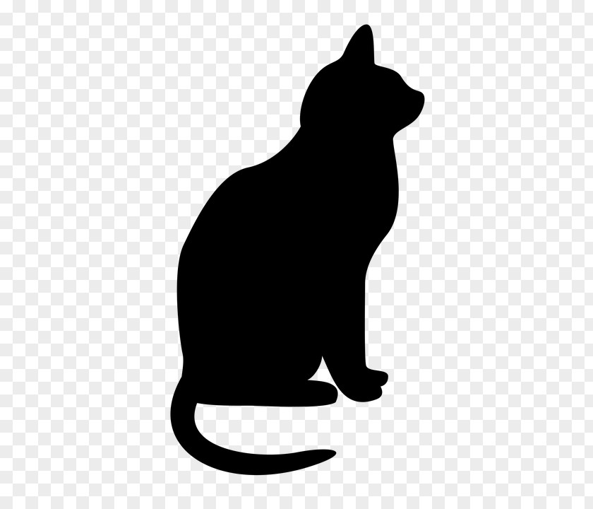 Snout Tail Black Cat Small To Medium-sized Cats Silhouette Black-and-white PNG