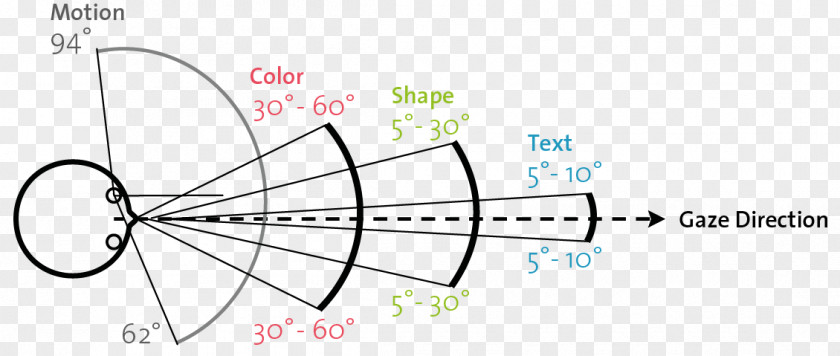 Visual Perception Field Of View Peripheral Vision Homo Sapiens PNG