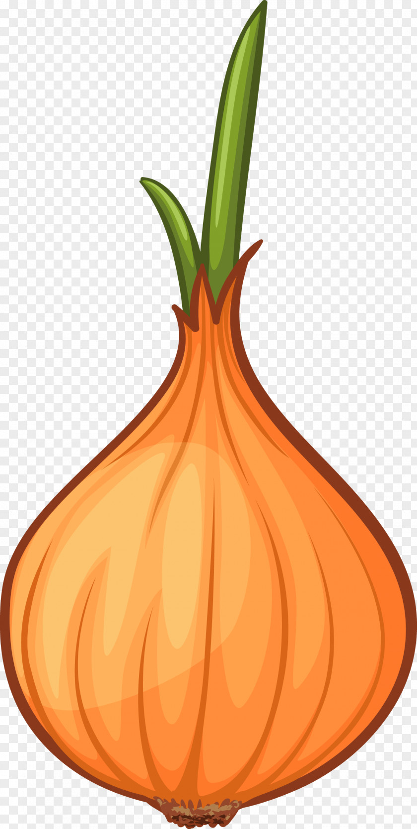 Creative Cartoon Onion Calabaza Clip Art PNG