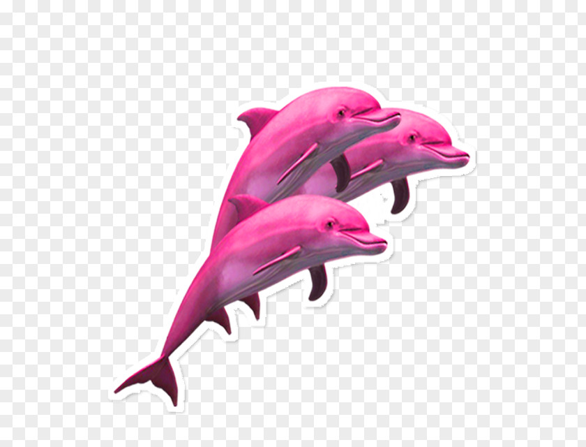 Dolphin Vaporwave Clip Art Porpoise PNG