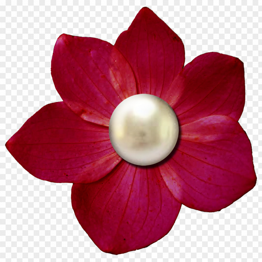 Pearls Paper Digital Scrapbooking Flower Embellishment PNG