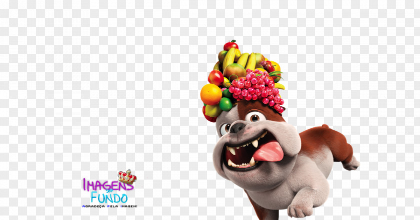 Rio Jewel Bulldog Desktop Wallpaper Image Photograph PNG