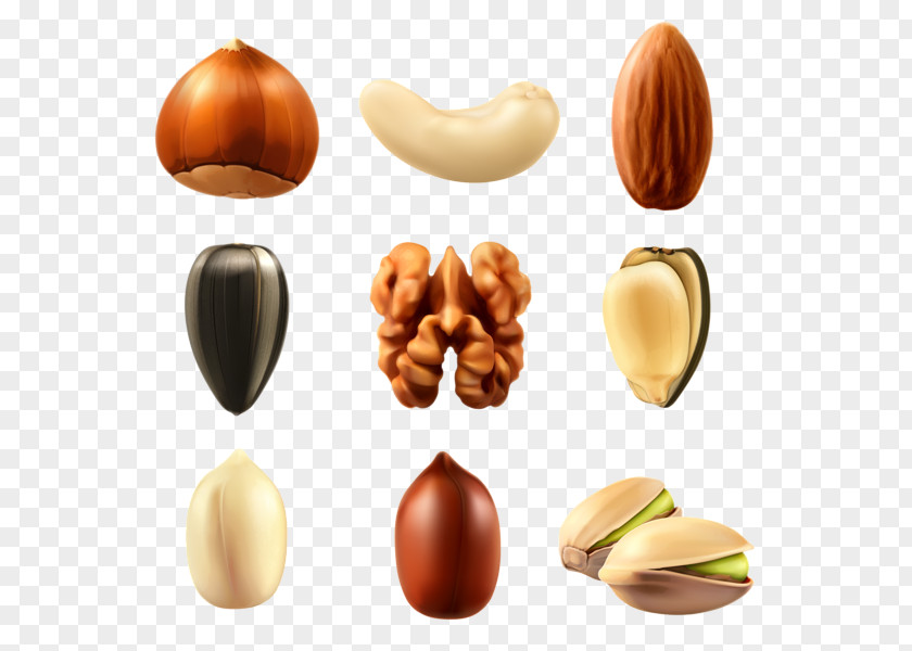 Almond Nut Cashew Clip Art PNG