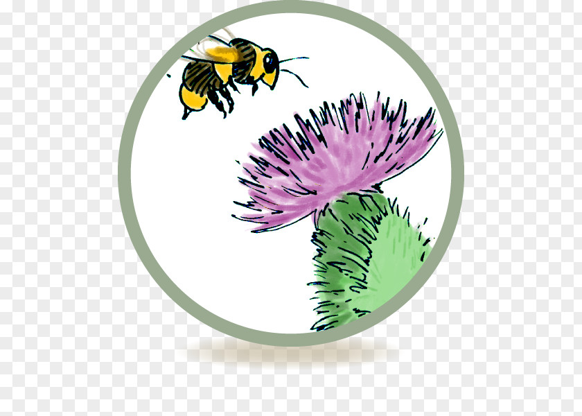 Bee Honey Cream Insect Bites And Stings Itch PNG