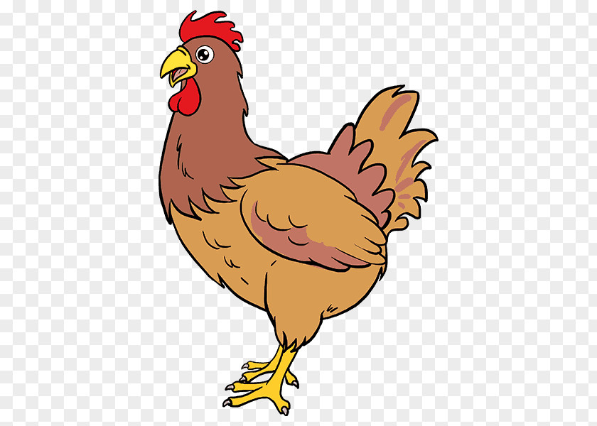 Chicken Brahma Drawing Rooster Meat PNG